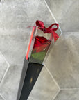 Rose éternelle